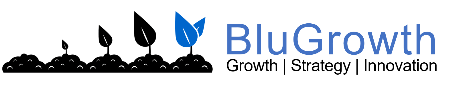 Resilience Hierarchy Logo